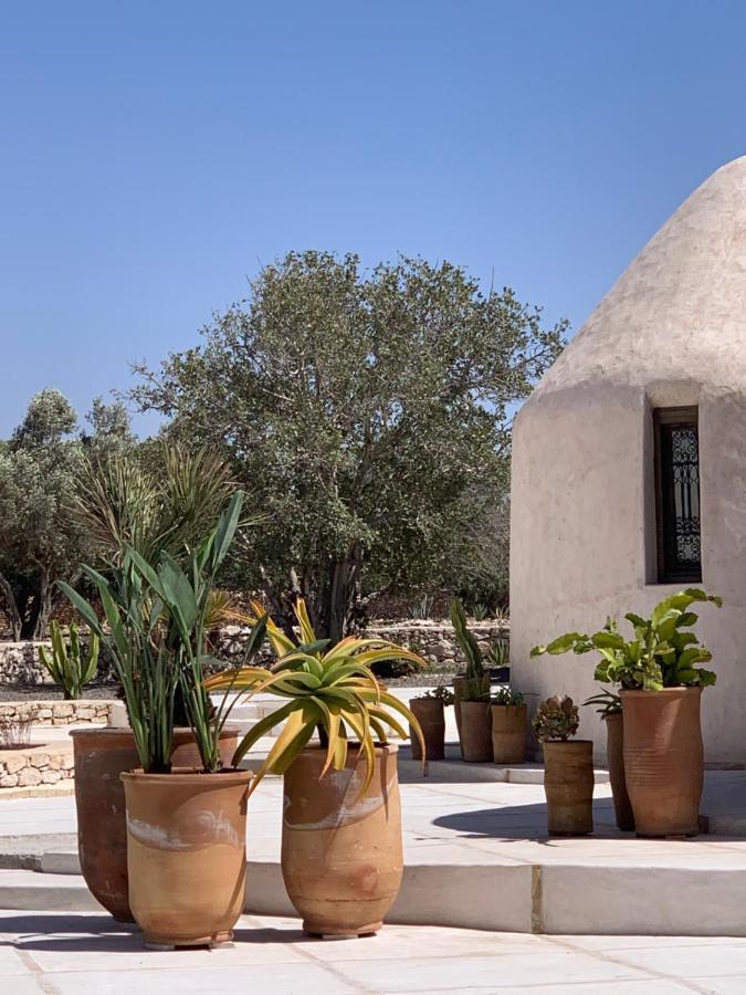 الصويرة Les Jardins De Villa Maroc المظهر الخارجي الصورة
